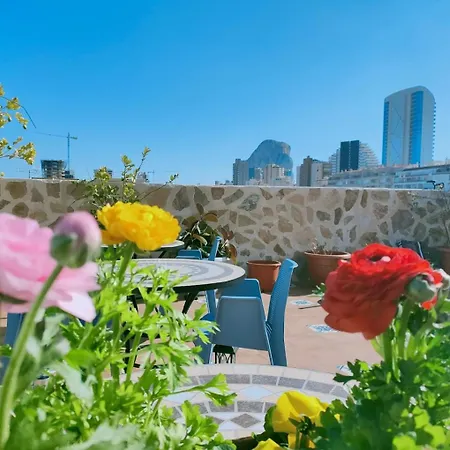 Hotel Calpe Hotel